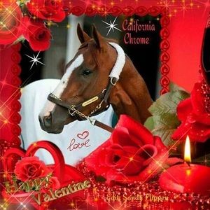 Meet your Posher, Vicky